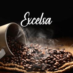 قهوه اکسلسا