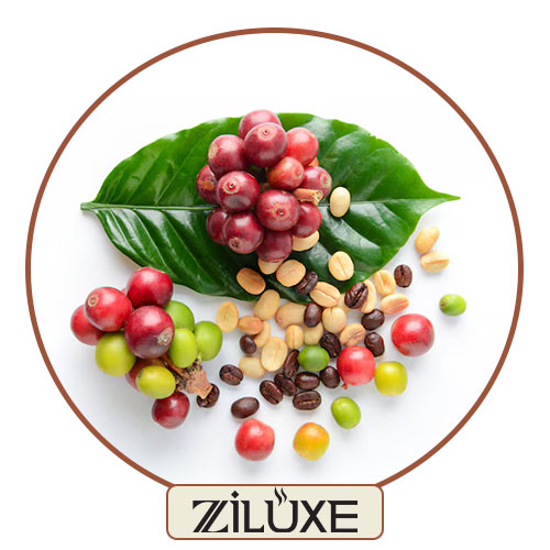 چرا قهوه میوه‌ای محبوبیت پیدا کرده است؟