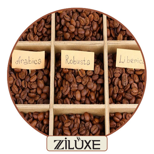 انواع دانه‌های قهوه: عربیکا، روبوستا و لیبریکا و راهنمای انتخاب قهوه‌ساز حرفه‌ای