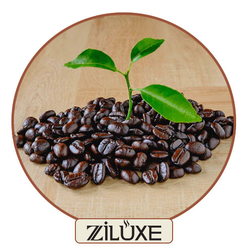 قهوه ارگانیک چیست و چرا باید آن را انتخاب کنید؟