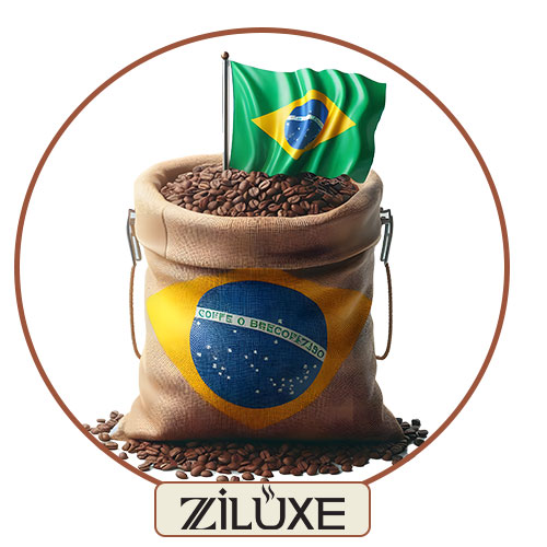 دانه قهوه برزیلی: طعمی کلاسیک و متعادل